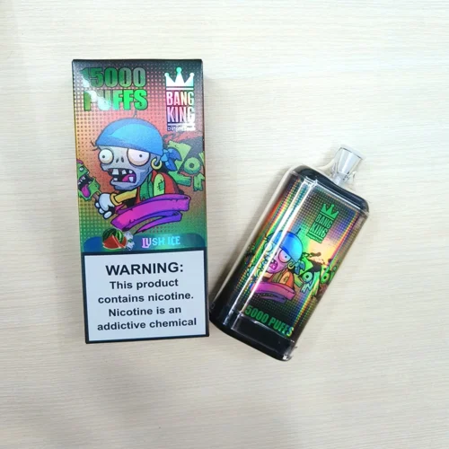 Recensione fotografica della sigaretta elettronica originale BANG King 15000 Puffs Vape usa e getta