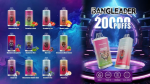 Bang Leader 20000 Züge Einweg-Vape | E-Zigarette mit Dual Mesh Coil und Schnellladefunktion