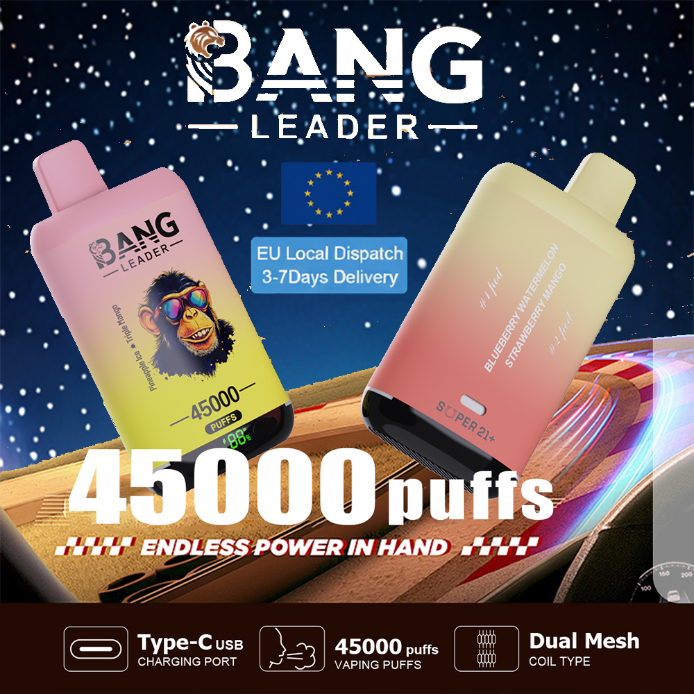 Bang Leader 45000 45k bocanadas y bobinas de malla dual y sistema de sabores dobles Bang Leader 45000 45k bocanadas y bobinas de malla dual y sistema de sabores dobles