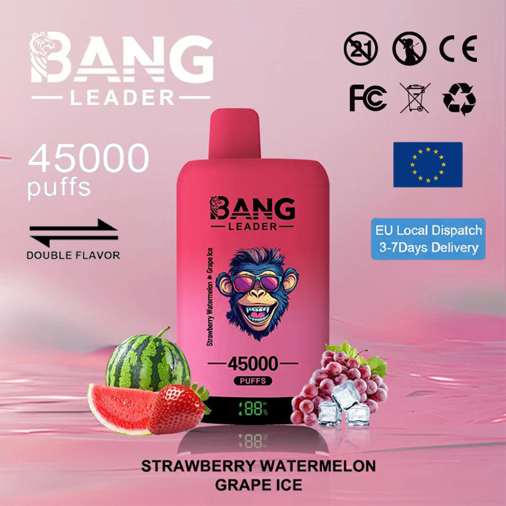 Bang Leader 45000 45k bocanadas y bobinas de malla dual y sistema de sabores dobles Bang Leader 45000 45k bocanadas y bobinas de malla dual y sistema de sabores dobles