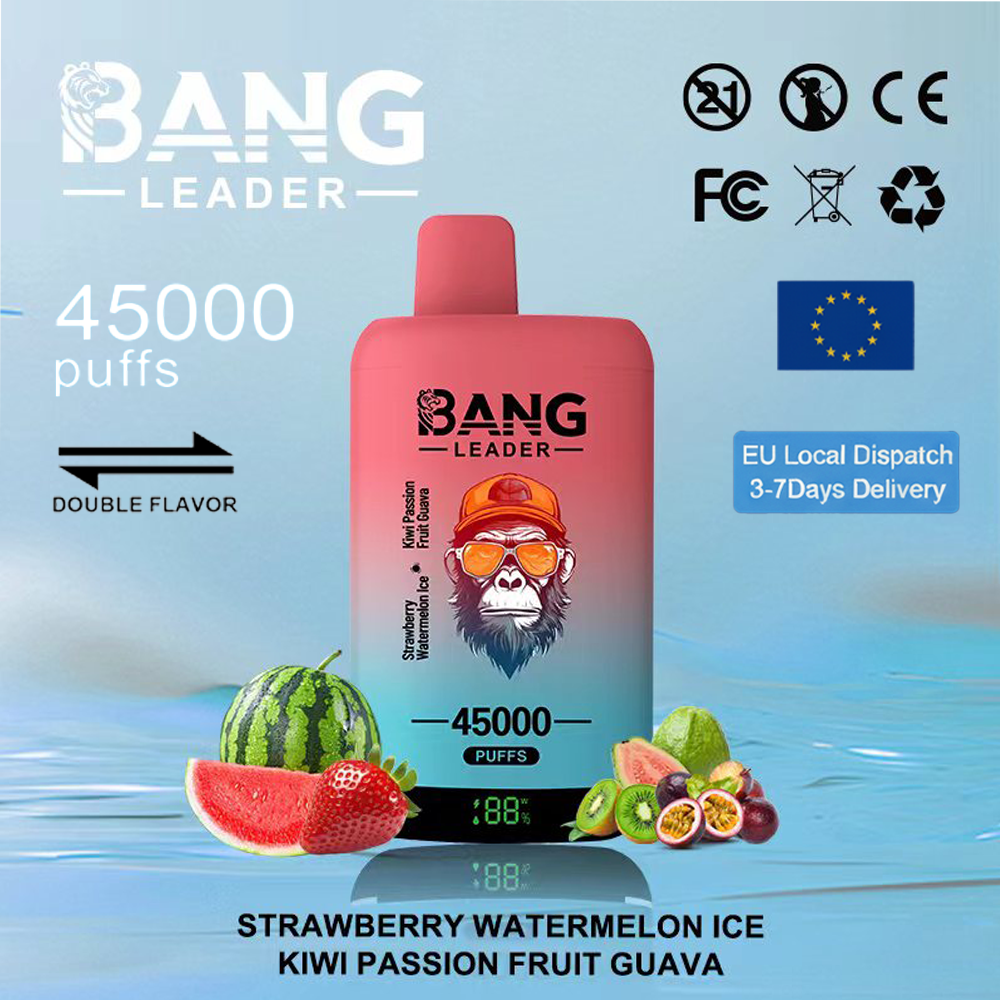 Bang Leader 45000 45k bocanadas y bobinas de malla dual y sistema de sabores dobles Bang Leader 45000 45k bocanadas y bobinas de malla dual y sistema de sabores dobles