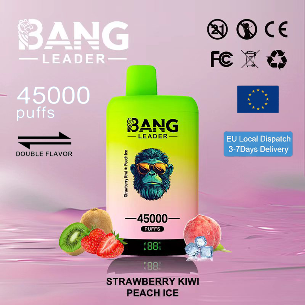 Bang Leader 45000 45k bocanadas y bobinas de malla dual y sistema de sabores dobles Bang Leader 45000 45k bocanadas y bobinas de malla dual y sistema de sabores dobles